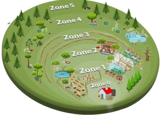 Introduction à la permaculture